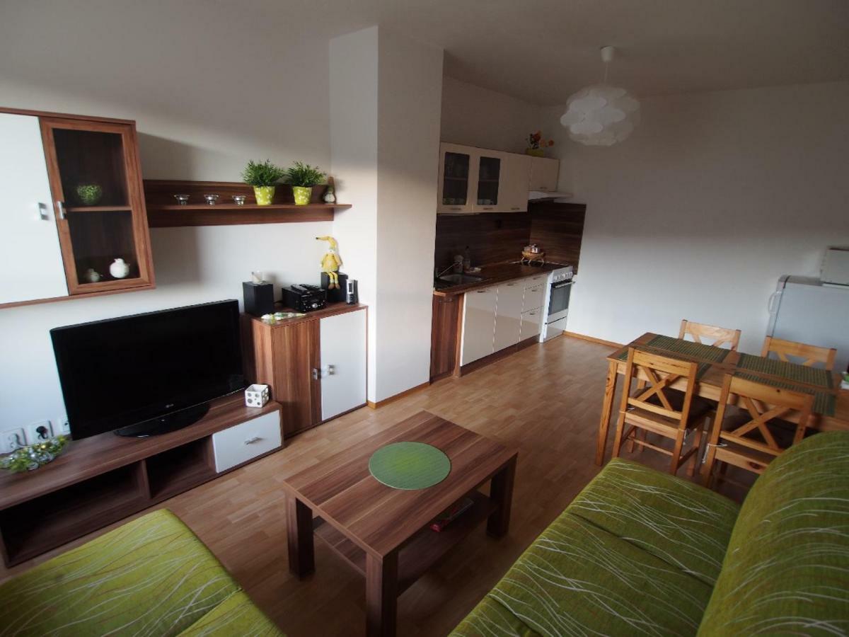 Apartman V Destnem Leilighet Destne v Orlickych horach Eksteriør bilde