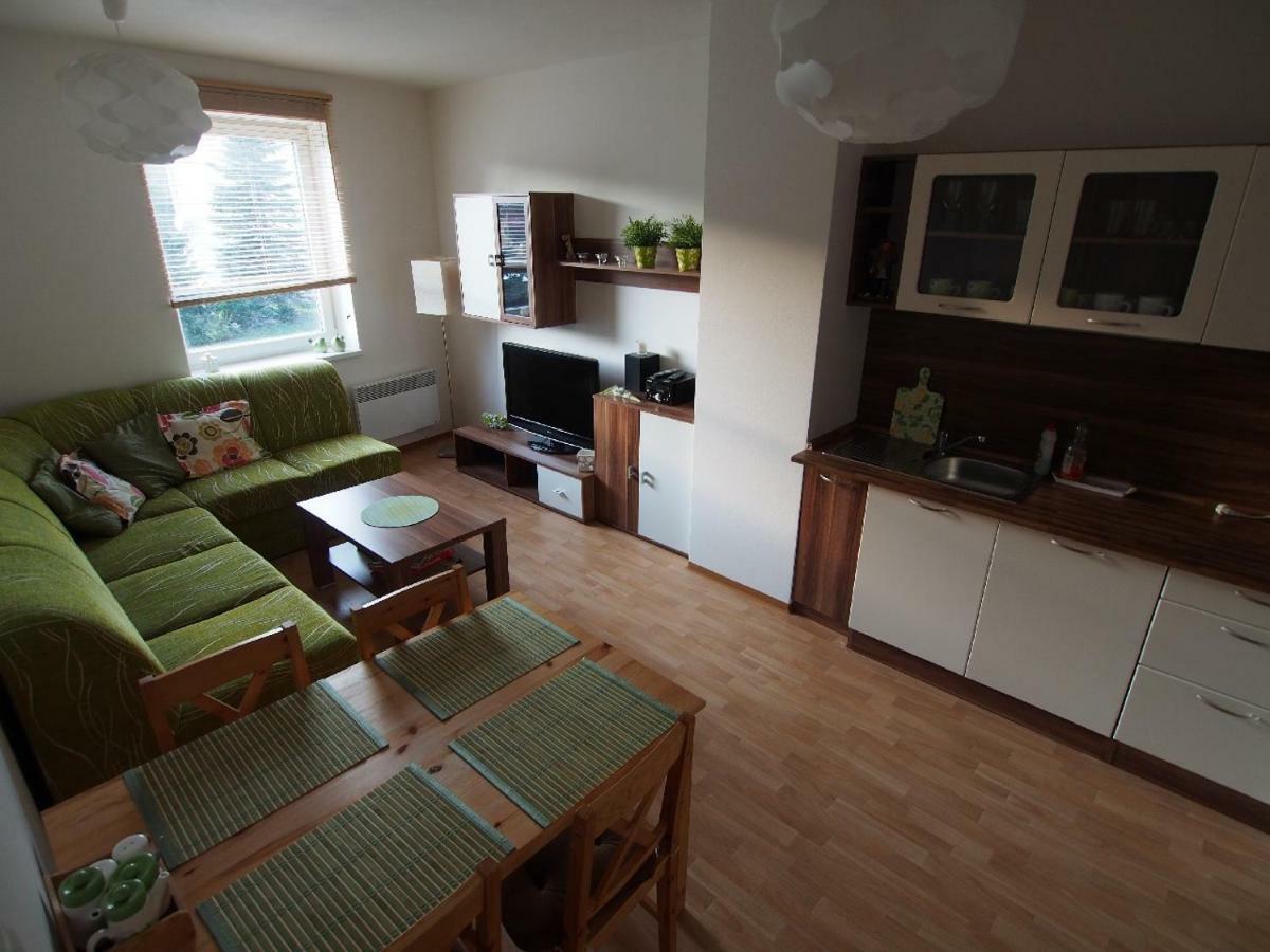 Apartman V Destnem Leilighet Destne v Orlickych horach Eksteriør bilde